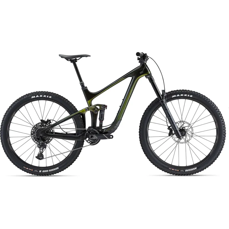 Giant Reign Advanced Pro 29 2 Enduro Bike in Panther