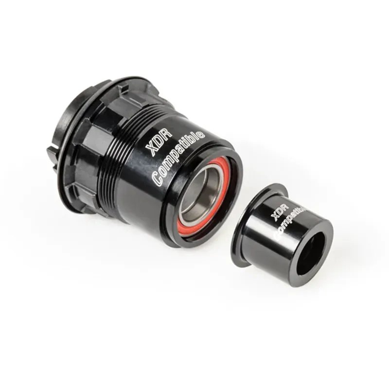 DT Swiss Pawl Freehub Conversion Kit in Black Alloy