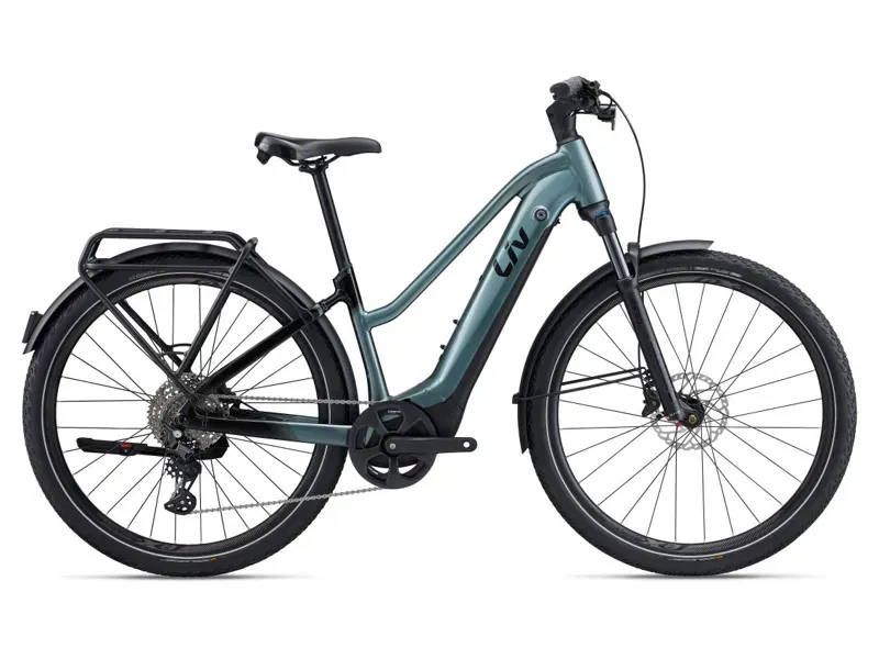 Liv Amiti E+ Pro 625Wh Electric Bike In Gloss Silver Pine