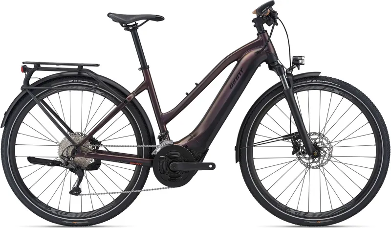 Giant e hotsell bike 2021